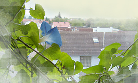 Ausblick Musikschule 2008 Ausblick Musikschule 2008